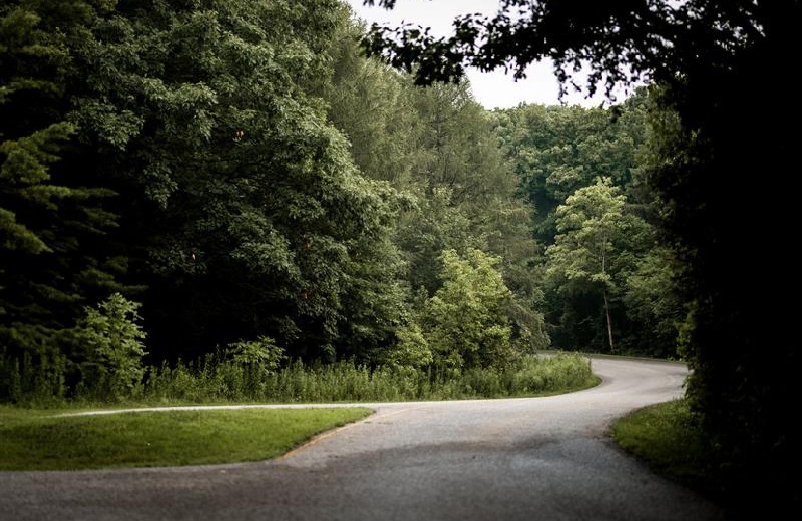 Humber River Valley natural setting near The Valley Homes Woodbridge